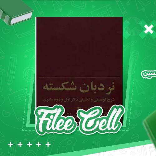 دانلود کتاب نردبان شکسته ؛ شرح توصیفی و تحلیلی دفتر اول و دوم مثنوی عبدالحسین زرین کوب (PDF) 519 صفحه
